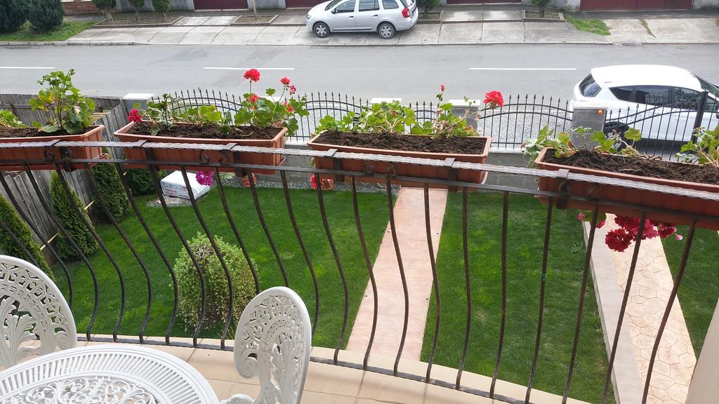 Family Pension Арад Экстерьер фото