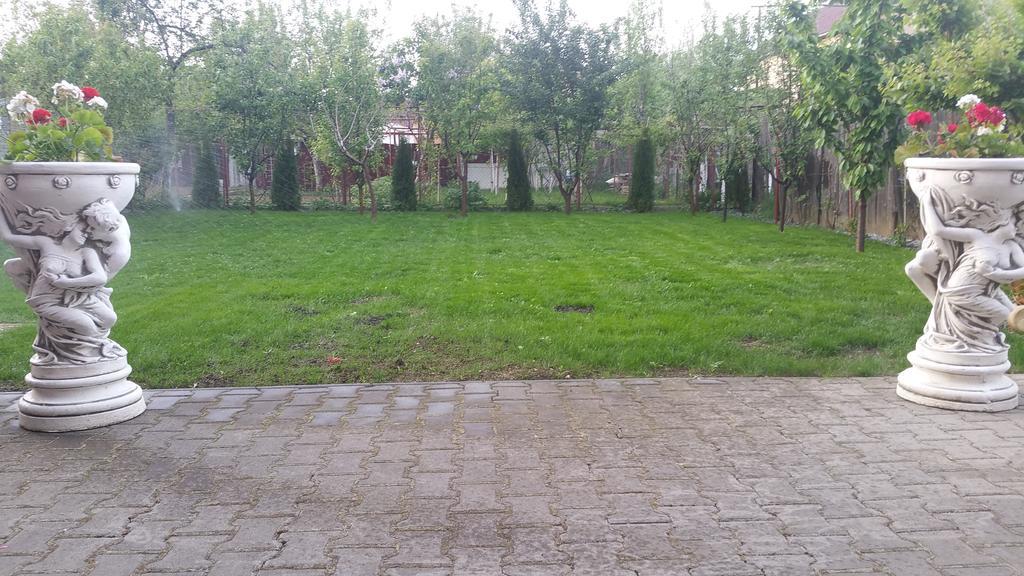 Family Pension Арад Экстерьер фото