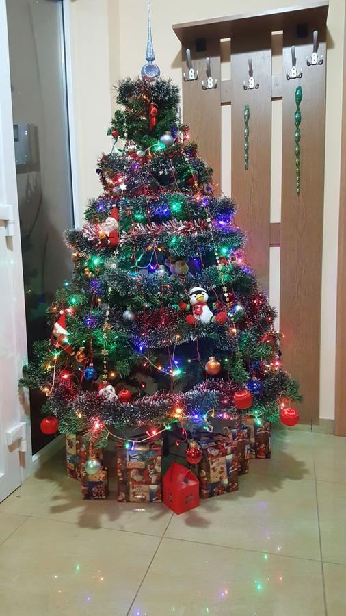 Family Pension Арад Экстерьер фото